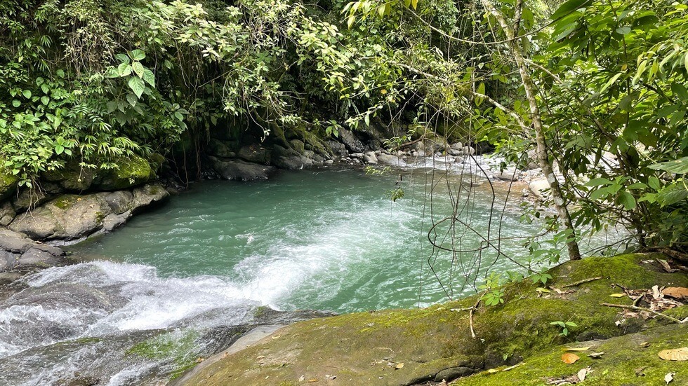 145 Acres With Swimming Holes, Waterfalls And Ocean Views selected