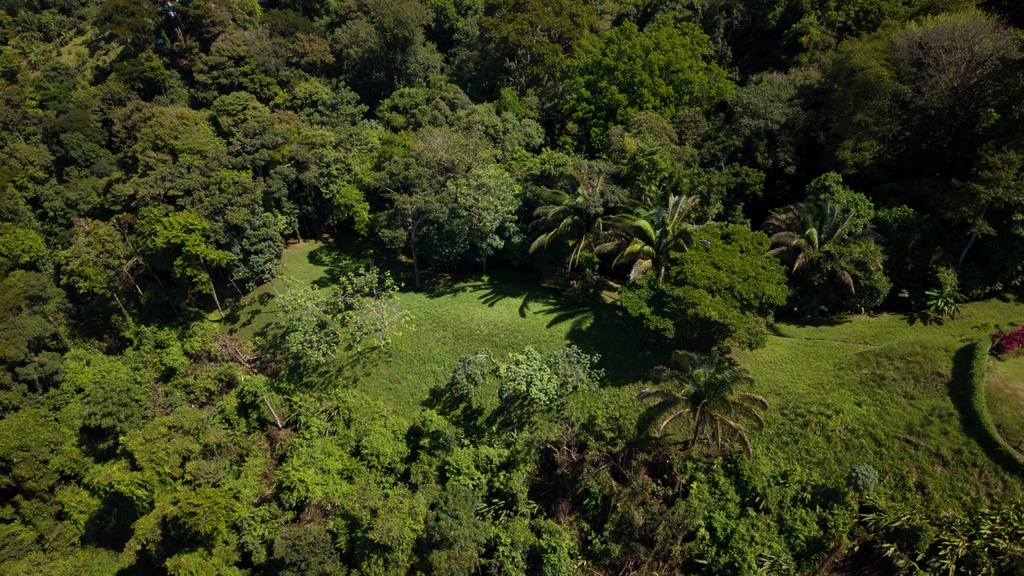 Front-Row Ocean View Estate with Private Waterfall near Dominical selected
