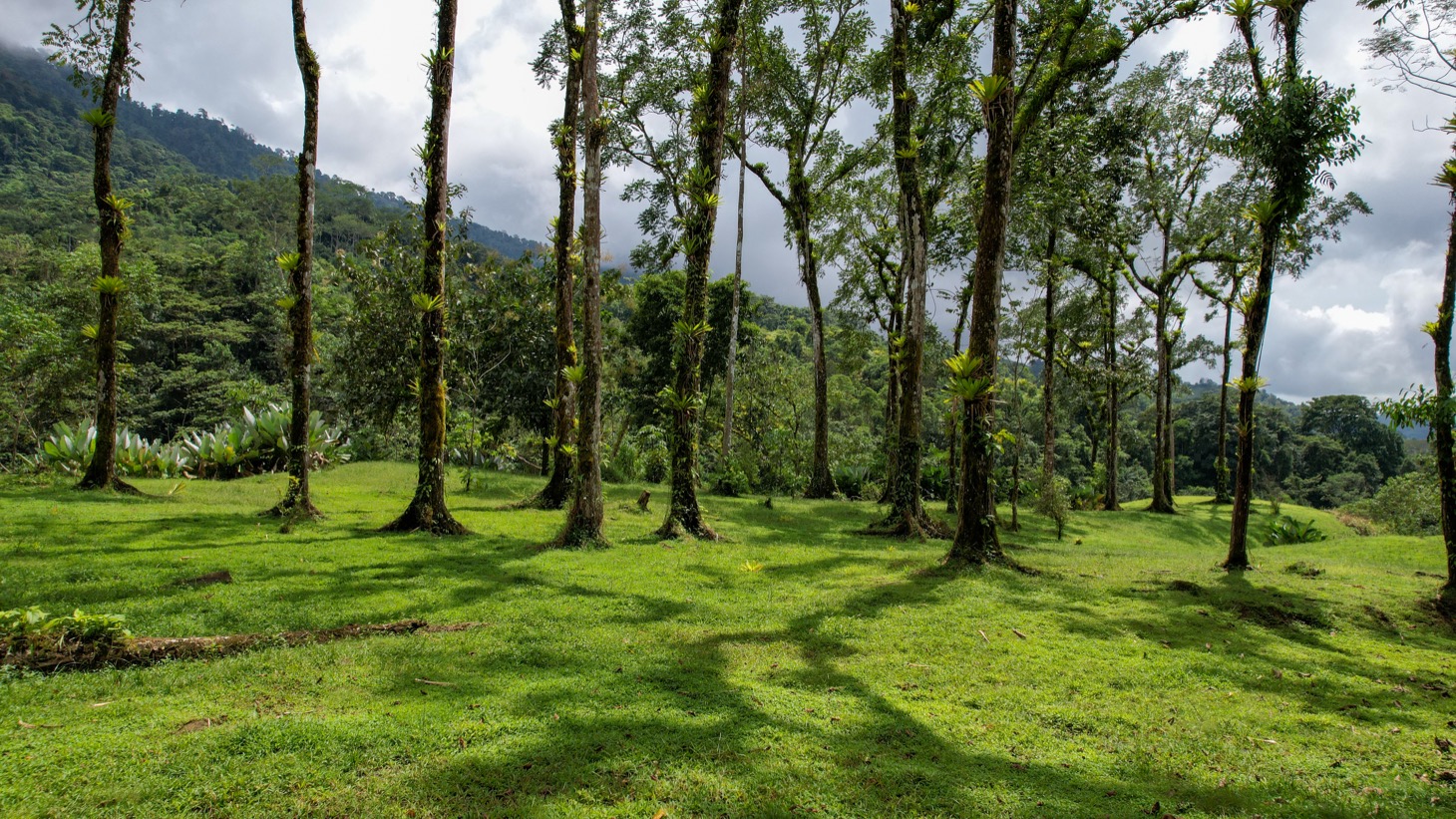 Secluded 4.5-Hectare Riverfront Oasis Near Hatillo & Dominical – Dos Bocas, Costa Rica selected