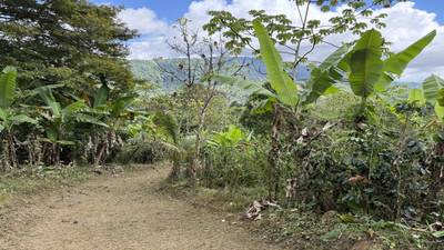 Jungle Lot with 3+ Building Sites, Legal Water, Electricity on Public Road with Big Valley & Mountain Views near San Josecito Costa Rica image 4