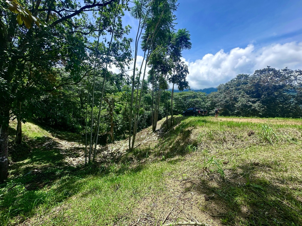 Build-Ready Lot with Mountain Views and Easy Access in Ojochal selected