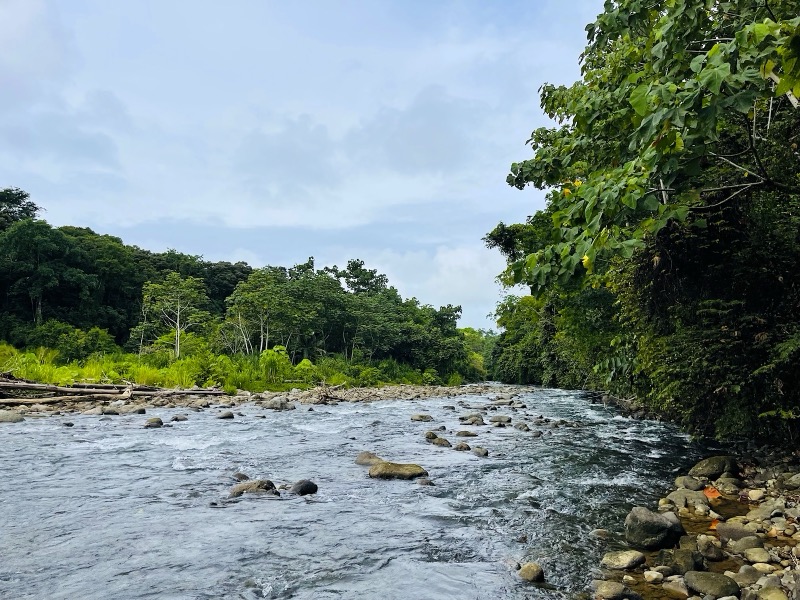 Prime 10+ Acre Development Opportunity in Uvita selected
