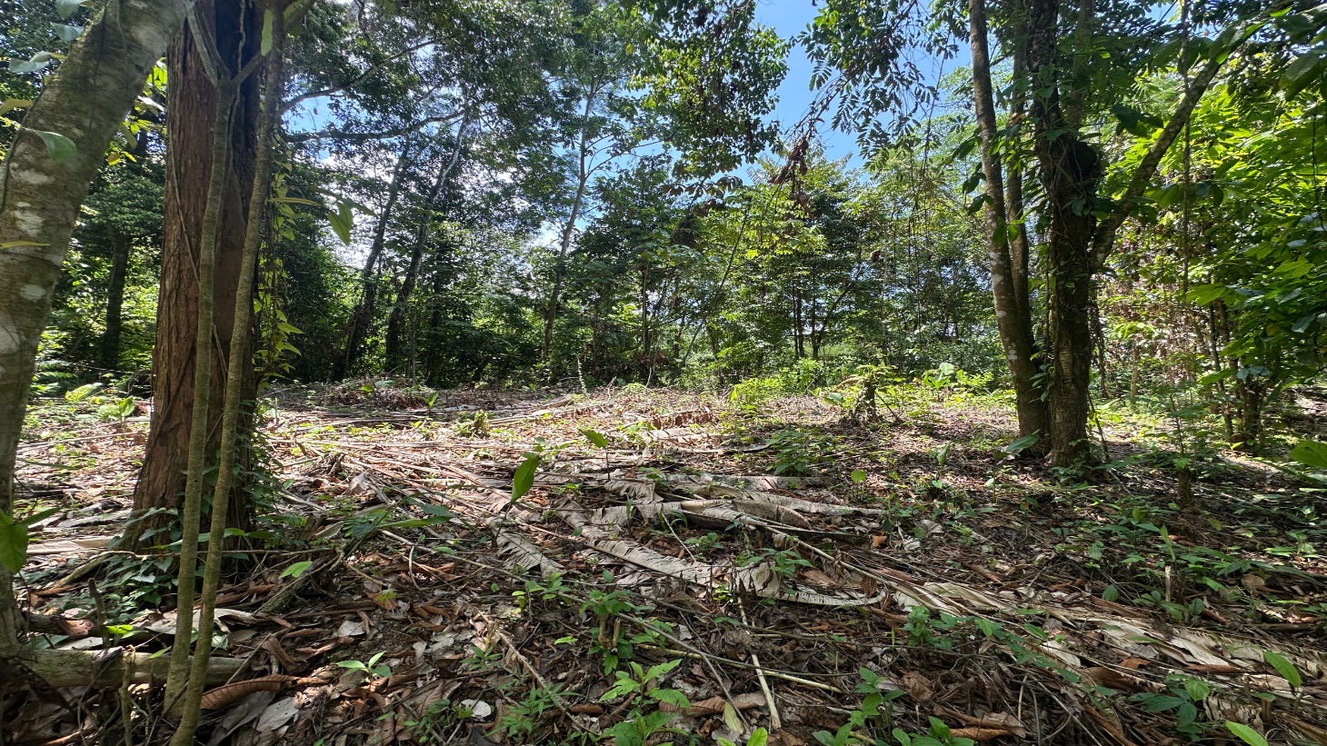 Ocean View Estate Lot with Private Waterfall – Uvita selected