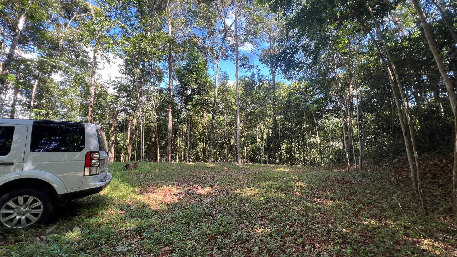 Build Ready Home Site with Easy Access in a Lush Rainforest Setting selected