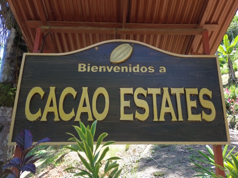Expansive Ocean View Lot with Premier Building Site in Cacao Ridge selected