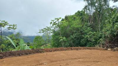 Mountain View Land with Several Building Sites and Mature Fruit Trees image 2