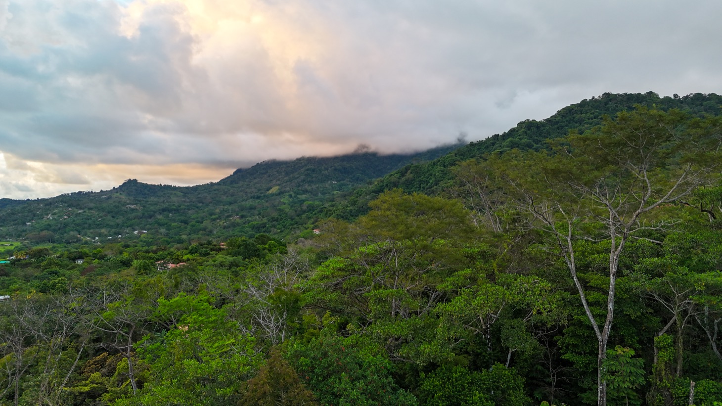 Spectacular Jungle Estate Property with Panoramic Ocean Views selected