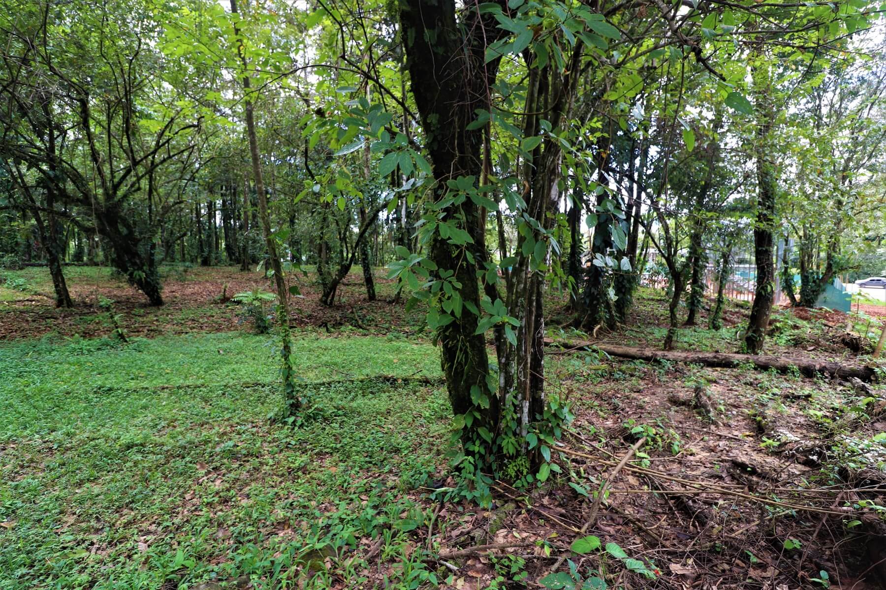 Prime Commercial Property In Uvita selected
