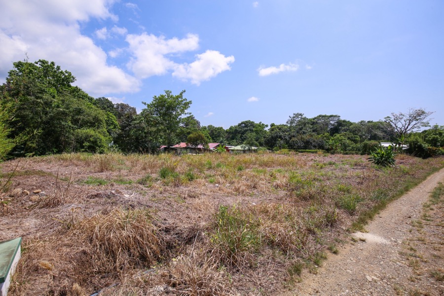 Flat Buildable Lot in Central Ojochal with Mountain Views selected