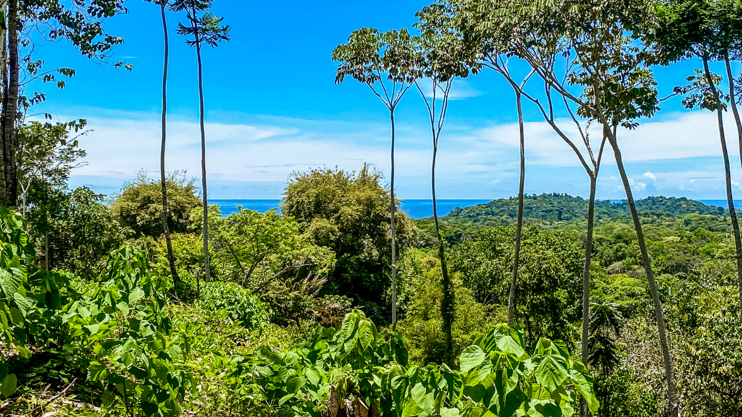5.75 Acre Land for Sale in Ojochal | Ocean View Development Property selected