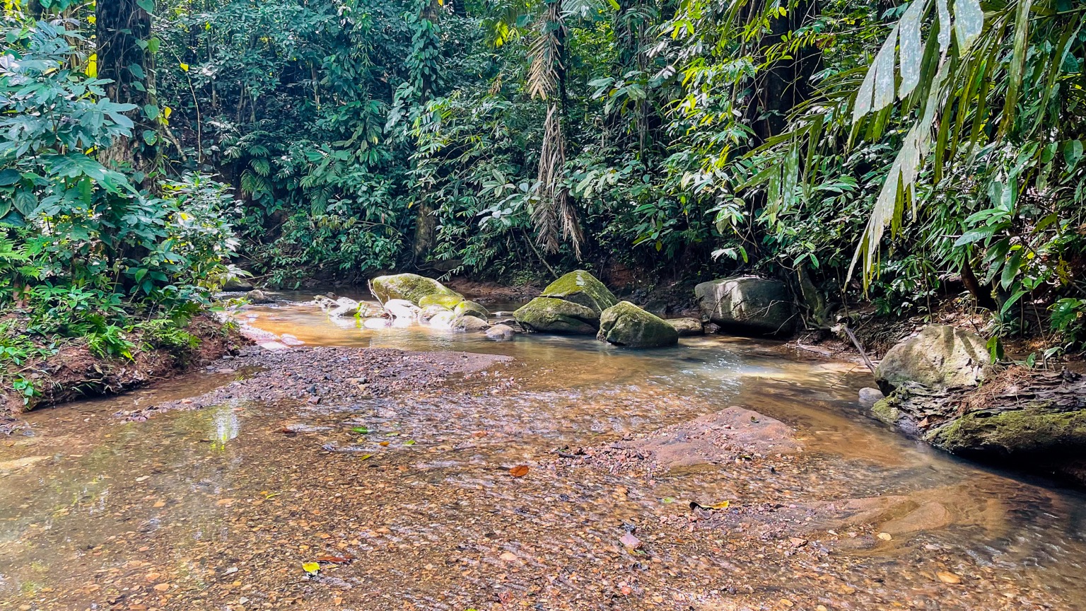 Premium 9.3-Hectare Farm for Sale in Ojochal, Costa Rica selected