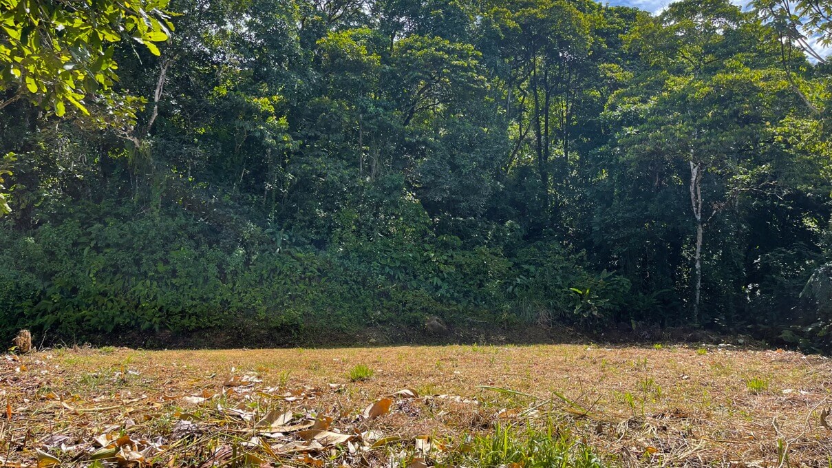 Whale's Tail and Ocean View lot for Sale in Costa Verde, Escaleras, Costa Rica selected
