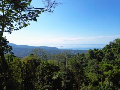 Private Ocean View Homesite Above Uvita – 1.73 Acres with Iconic Ballena Rock Views image 2