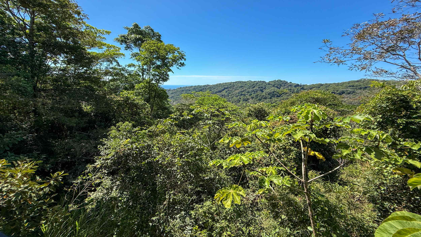 Totally Remodeled Coastal Jungle 2-Bedroom Sanctuary Home with Valley & Ocean Views in Lagunas above Dominical Costa Rica selected