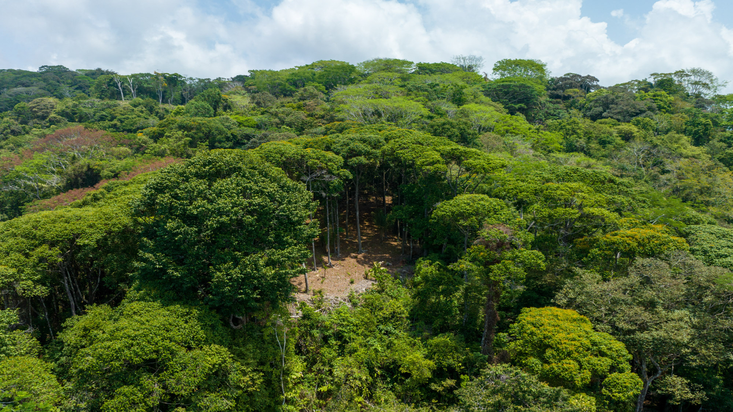 Rare 86-Acre Ocean View Estate Bordering Hacienda Barú – A Unique Opportunity for Conservation and Development selected