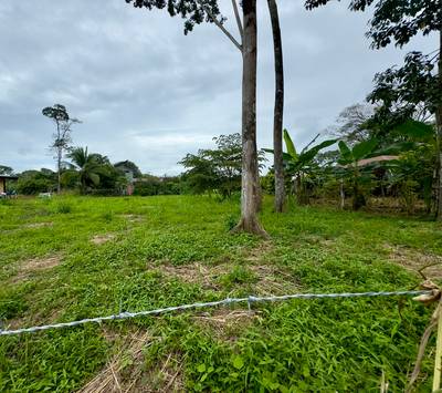 Premier 0.32 Acre Lot in the Heart of Bahia image 5