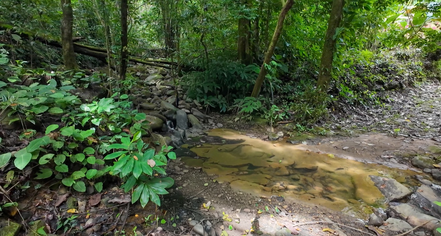 Stunning 16 acre Ocean View Property San Buenas, Costa Rica  selected