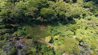 Premium Ocean View Homesite in Vista Dominical Estates - Lot #17 image 1