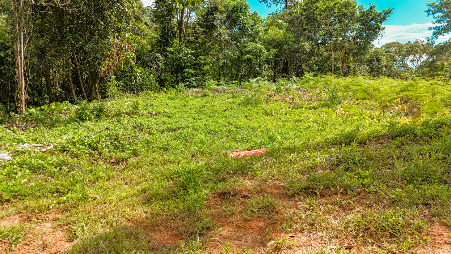 Jungle Lot for Sale in Ojochal With River & Waterfall selected