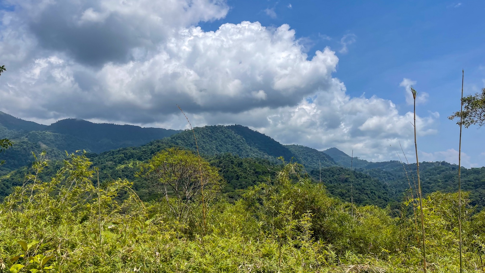 Private & Ready to Build Ocean View Land for Sale in Uvita, Costa Rica  selected