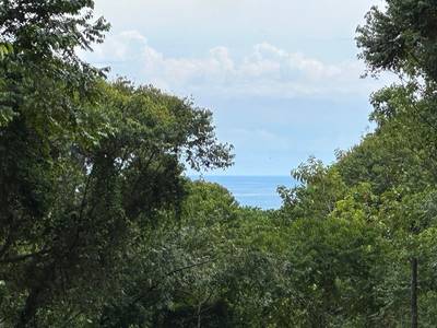 8.8 Acres of Pristine Jungle Paradise with Ocean Glimpses in Dominicalito image 3