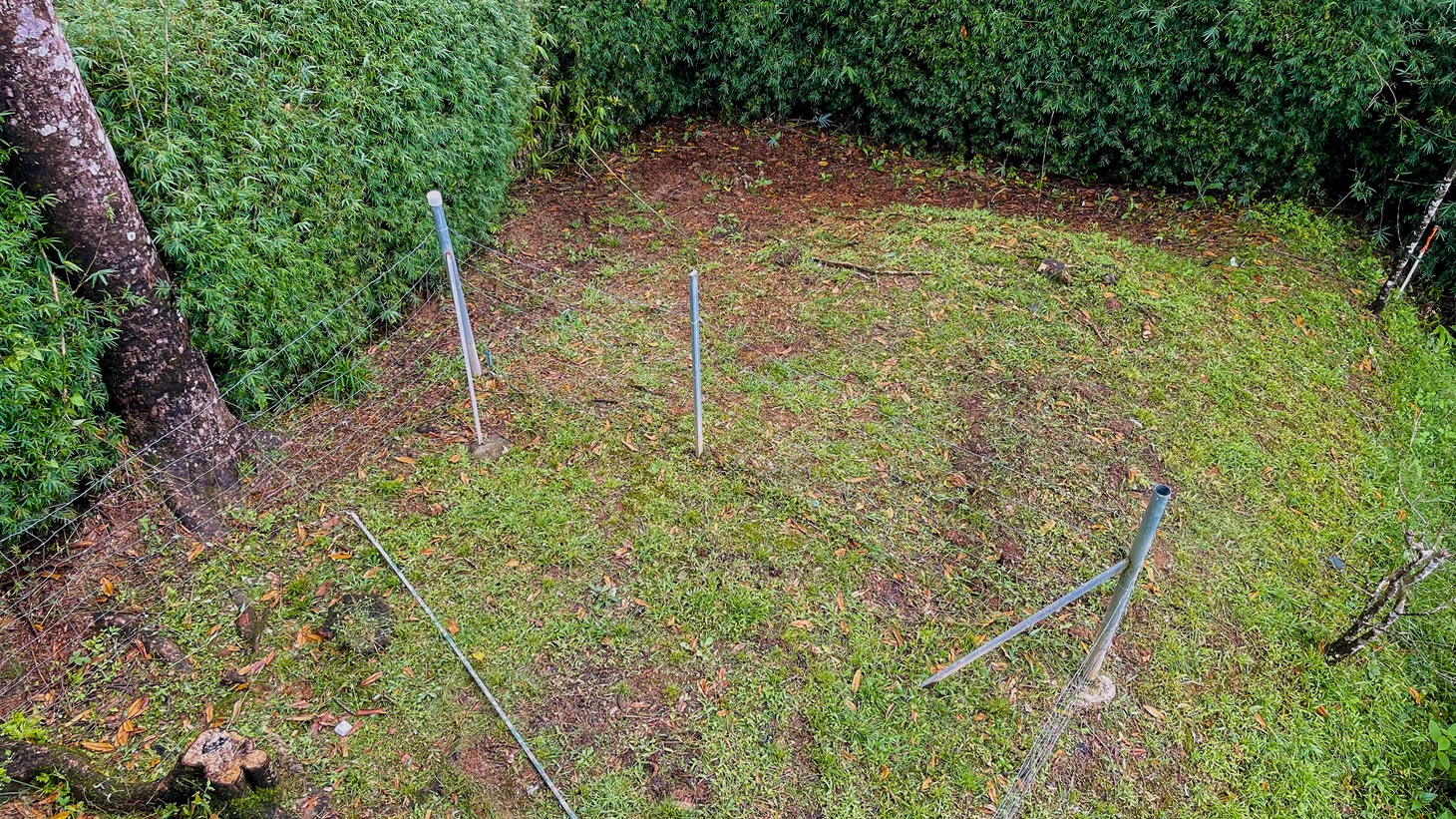 2 Bedroom Jungle Canopy Retreat with Ocean View selected