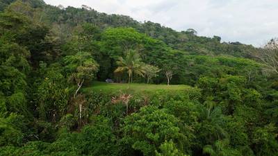3.57-Acre Ocean View Estate Parcel with Creek & Sunset Exposure Near Dominical image 5