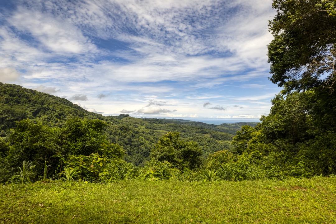 21.3-Acre Waterfall Farm Sanctuary in Costa Rica’s Southern Zone selected
