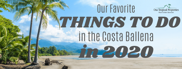 Our Favorite Things to Do in the Costa Ballena 2020