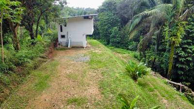 Fixer-Upper with Stream, Forest Views, and Investment Potential in Playa Hermosa image 3