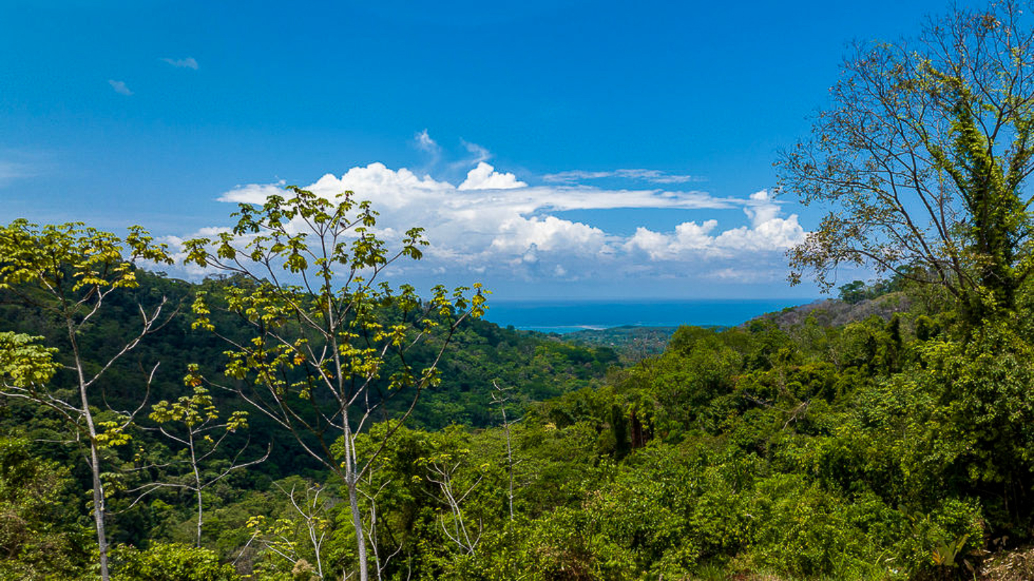 Whale Tail Views Luxury Waterfall Farm selected