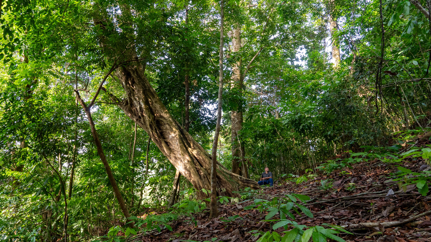 Rare 86-Acre Ocean View Estate Bordering Hacienda Barú – A Unique Opportunity for Conservation and Development selected