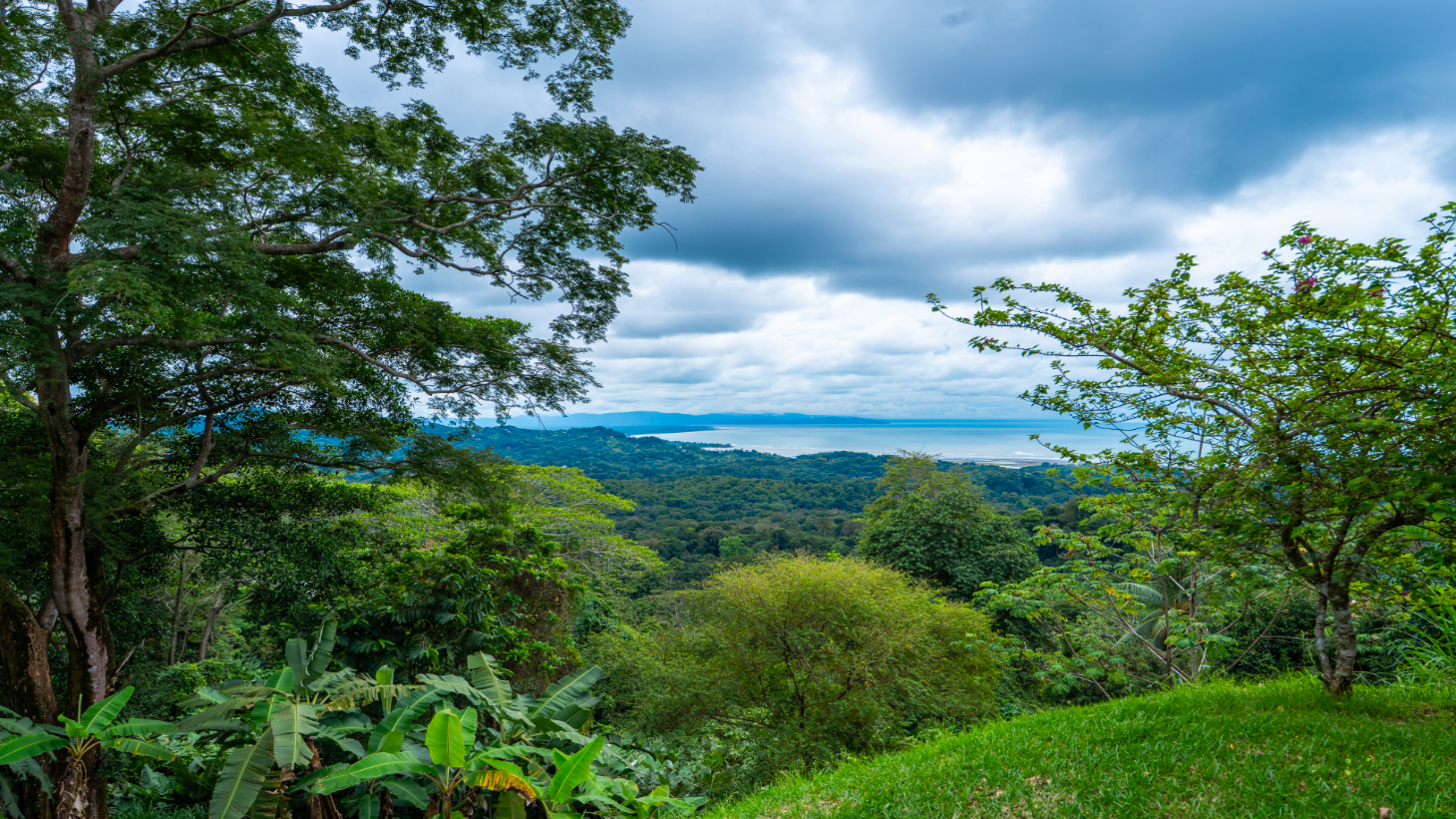 Luxury Ocean-View Estate with Infinity Pool, Main House & Guest House, Ojochal selected