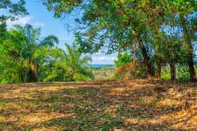 Ocean-View Property with Prime Location and Development Potential in Uvita image 1