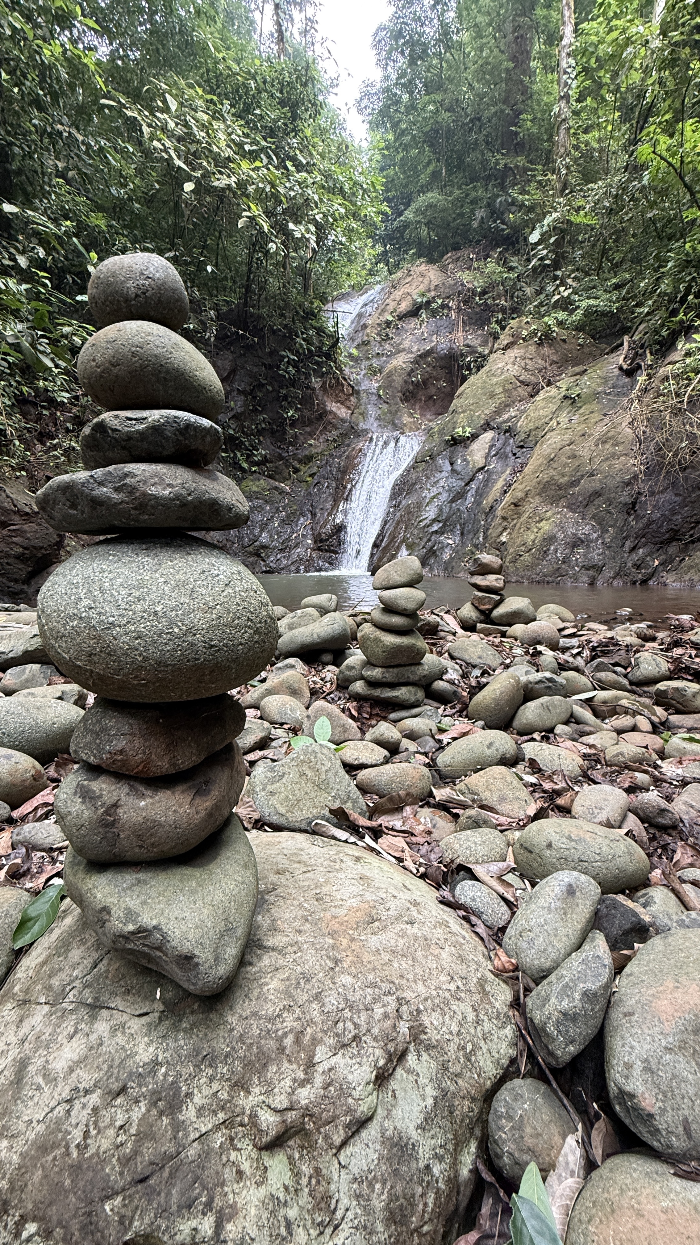 A Living Jungle Sanctuary on the River — 86 Hectares in Sabalo, Costa Rica selected