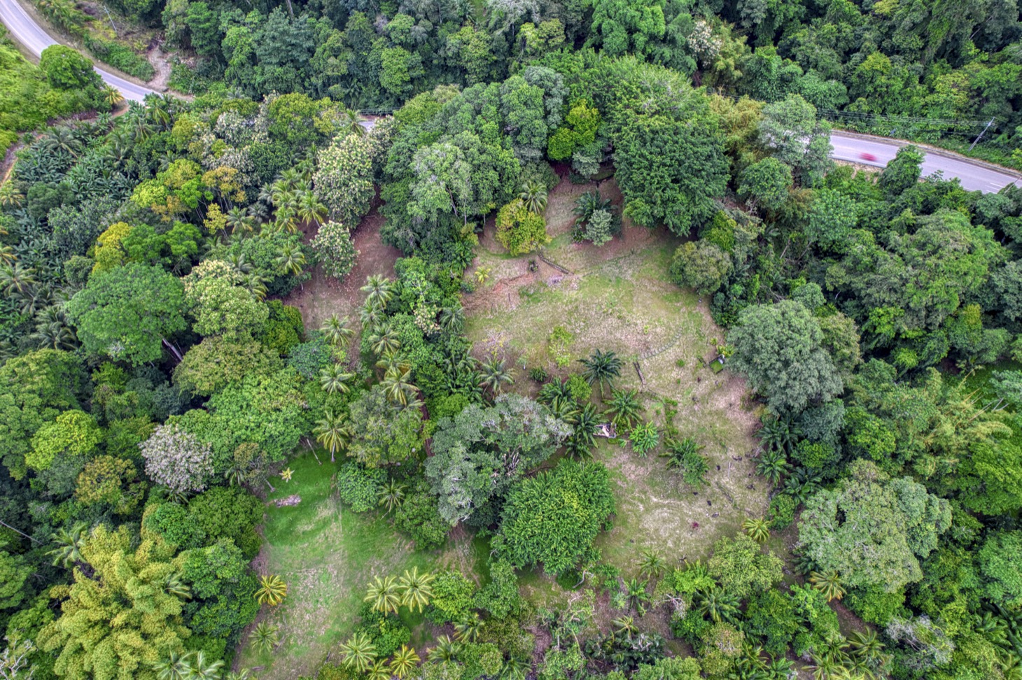The Residence in Costa Rica A Luxury Pre-Construction Beachfront Estate selected