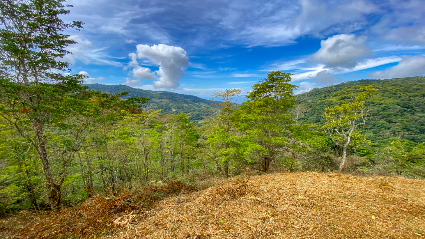 1.5 Acre Ocean & Mountain View Lot Near Uvita | Legal Water & Privacy selected