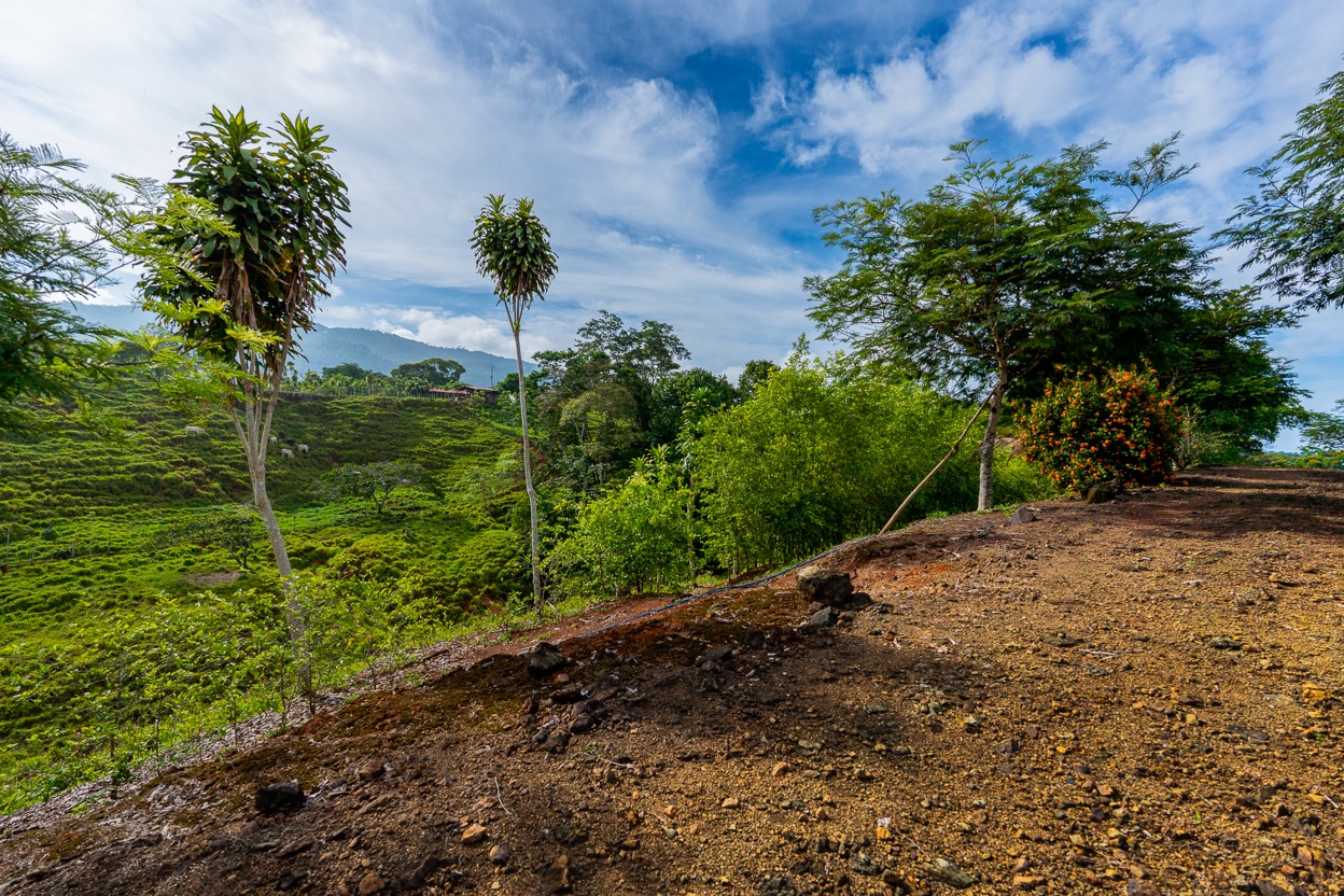 Ocean View Development Property with Waterfall Vista — 14.83 Acres in San Luis de Morete, Near Uvita selected