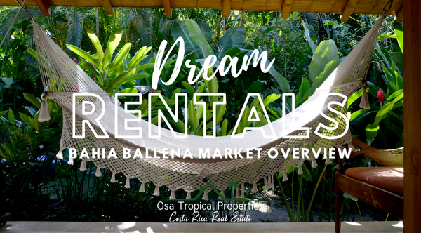Your Dream Rental Awaits: Bahia Ballena Market Overview