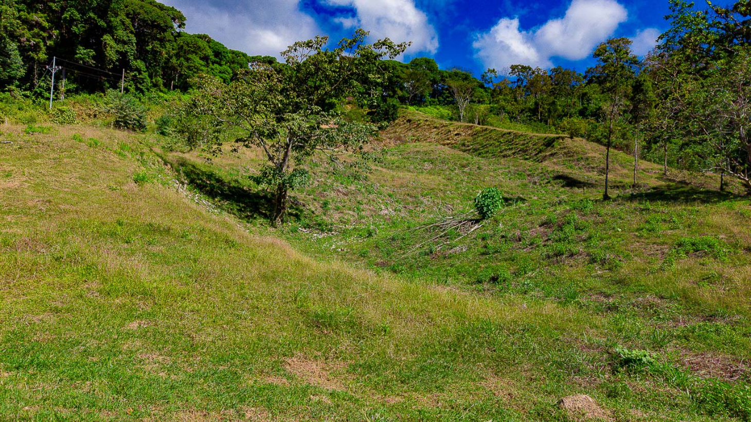 Whale Tail Views Luxury Waterfall Farm selected