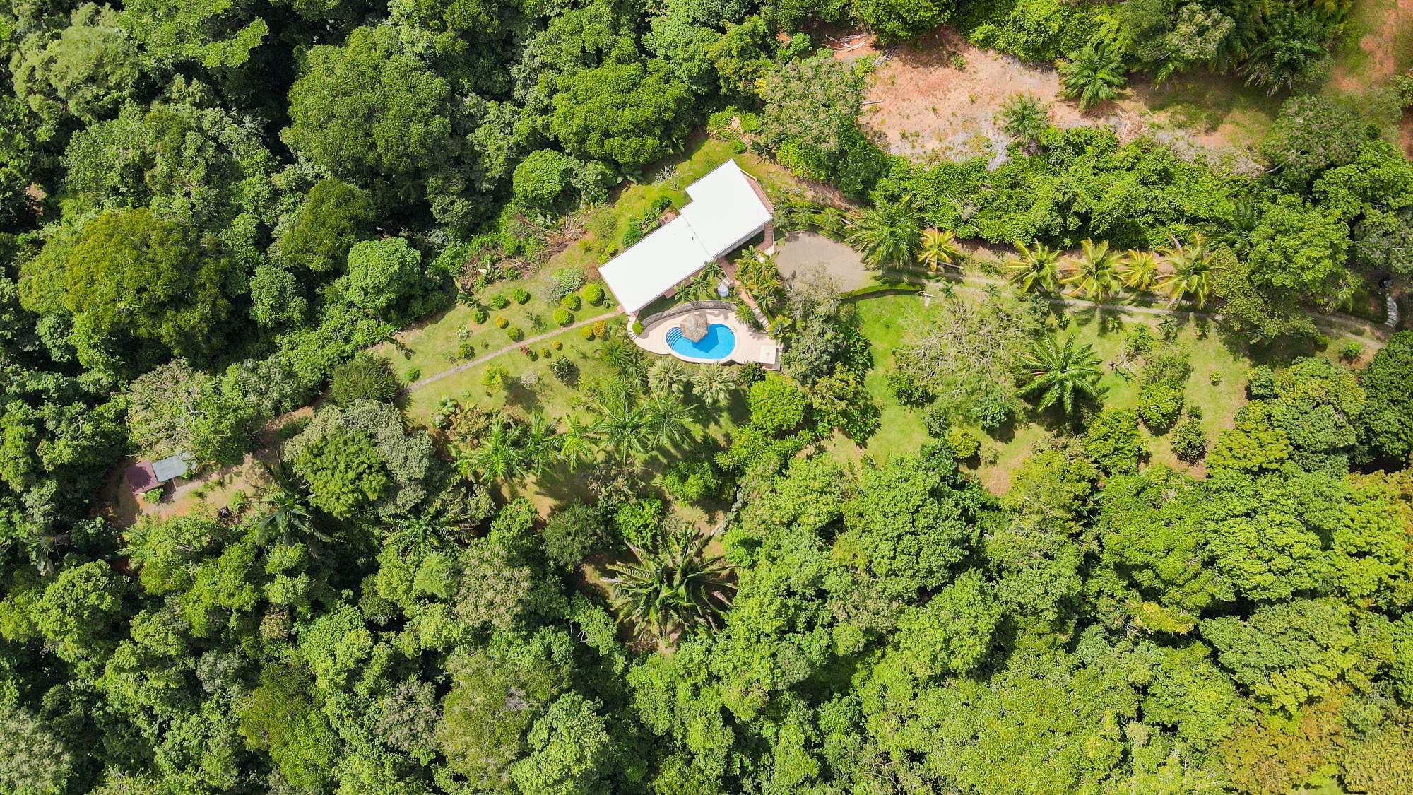 cozy-little-house-for-sale-in-ojochal-with-beautiful-land