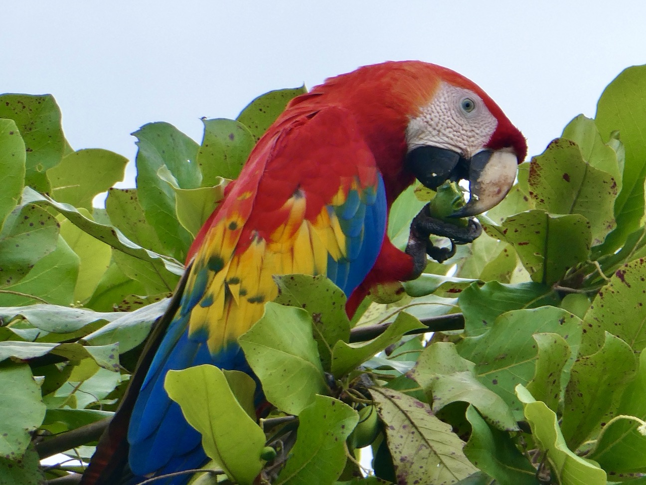 2-Bedroom Gem with Tropical Charm in Bahia Uvita selected