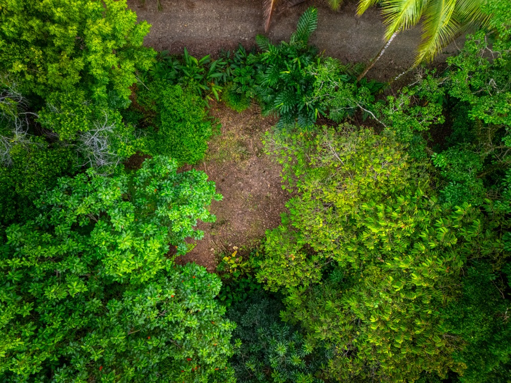 Dreamy Mediterranean Estate in Escaleras selected