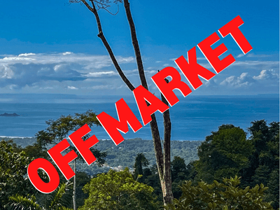 1.20 Acres of Breathtaking Views and Wildlife in Uvita, Costa Rica image 1