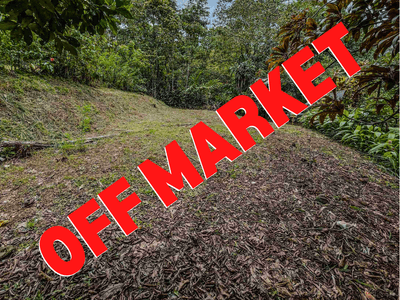 Easy-Access Building Lot With Creek In Ojochal image 1