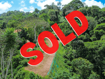 Premium Lot with Stunning Sunset & Mountain Views in Ojochal image 1