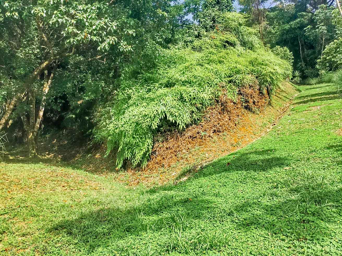 Ocean and Mountain View Retreat with Private River and Expansion Potential in Ojochal selected