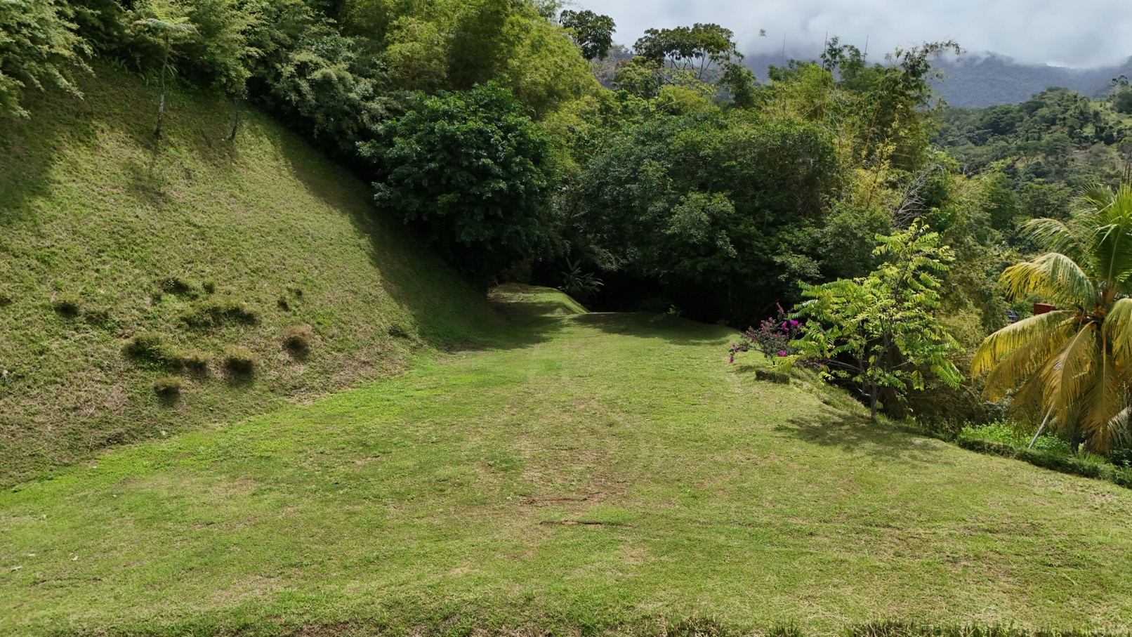 Expansive Oceanview Estate Lot in Uvita selected