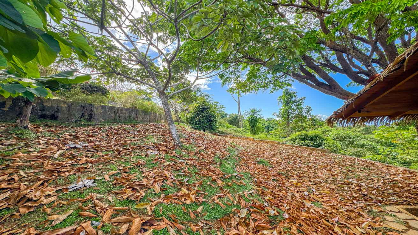 Ocean,Jungle & Mountain View Home in Ojochal | Protected Jungle Setting selected