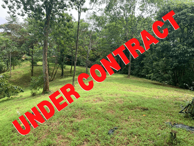 Tranquil 1.42-Acre Lot in Ojochal – Prime Location, Flat Terrain, All Utilities Availabl image 1